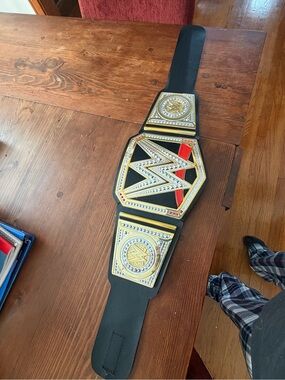 WWE talking belt for kids